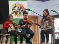fiddle class